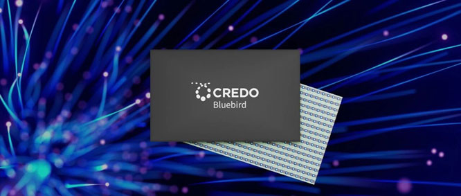 Credol(f)(zhun)͹ġߎc͕r(sh)ӵAIW(wng)j(lu)Bluebird 1.6TDSPоƬ